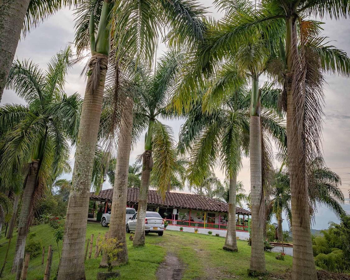 Hotel Rancho Chihuahua Filandia Exteriér fotografie